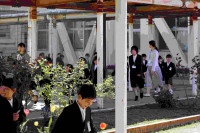 pict-IMG_7050