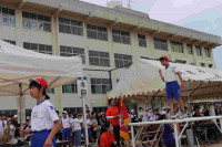 pict-IMG_3161