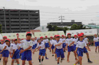 pict-IMG_3179