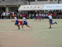 pict-IMG_1469