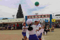 pict-IMG_3274