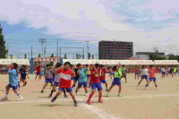 pict-IMG_3436