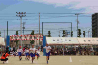 pict-IMG_3458