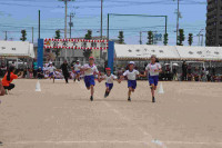 pict-IMG_3470