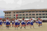 pict-IMG_3515