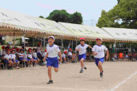 pict-IMG_3683