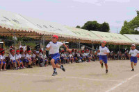 pict-IMG_3688