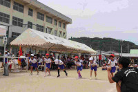 pict-IMG_3696
