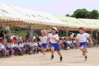 pict-IMG_3705