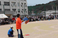 pict-IMG_3720