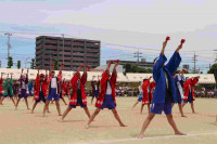 pict-IMG_3774
