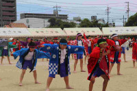 pict-IMG_3803