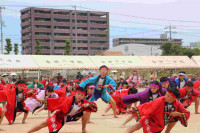 pict-IMG_3843