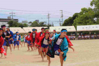 pict-IMG_3834