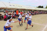 pict-IMG_3987