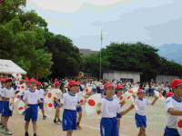 pict-IMG_1476