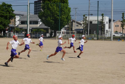 DSC00530