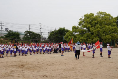 DSC00567