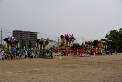 DSC02595