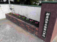 pict-IMG_3556