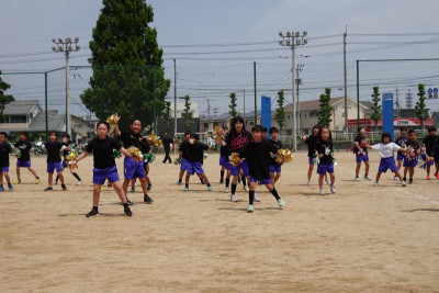 DSC00950